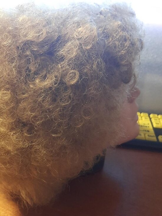 NEW ! Women Wig Short Curly Light Brown main image 4